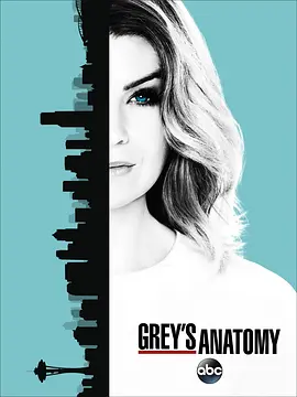 实习医生格蕾 第十三季 Grey&#039;s Anatomy Season 13